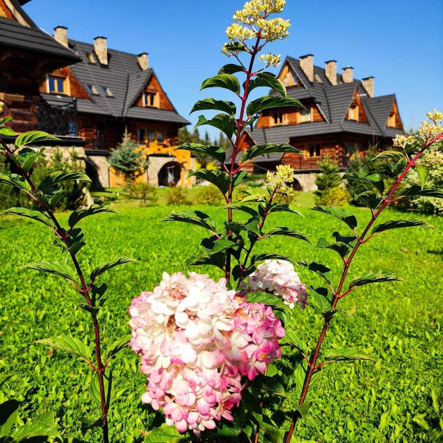 Krokus Park Residence Kościelisko Extérieur photo